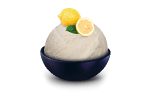 SCHÖLLER Citronový sorbet 5.0L (A)