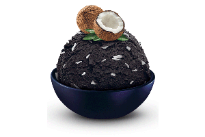 SCHÖLLER 5.0L, Black coconut (A)