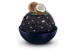 SCHÖLLER 5.0L, Black coconut (A)
